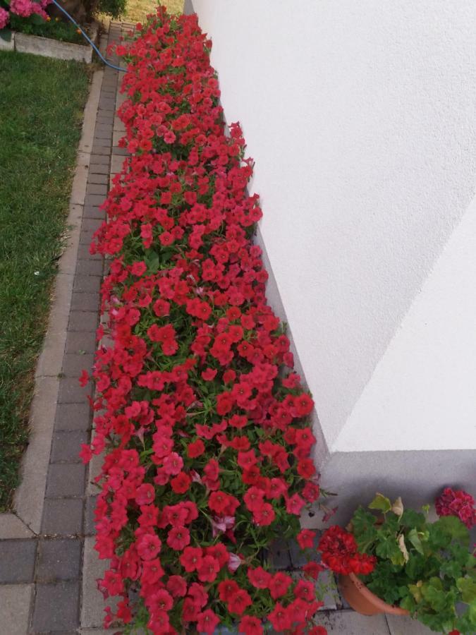 Pansion Ljubica Hotel Međugorje Eksteriør billede